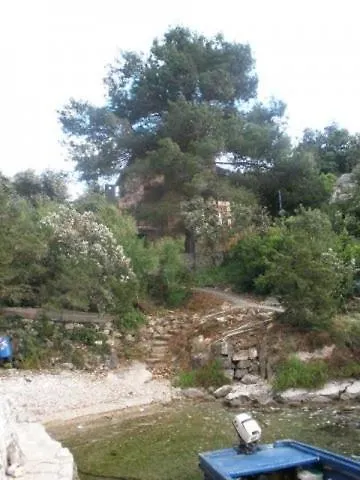 In Basina With Sea View, Terrace Lägenhet *