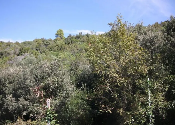 In Basina With Sea View, Terrace Lägenhet